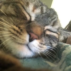 Meet your Posher, Becky